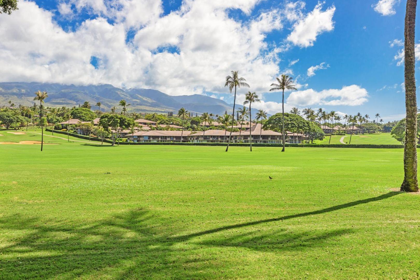 Maui Eldorado - G108 - Stay In The Heart Of Kaanapali カハナ エクステリア 写真