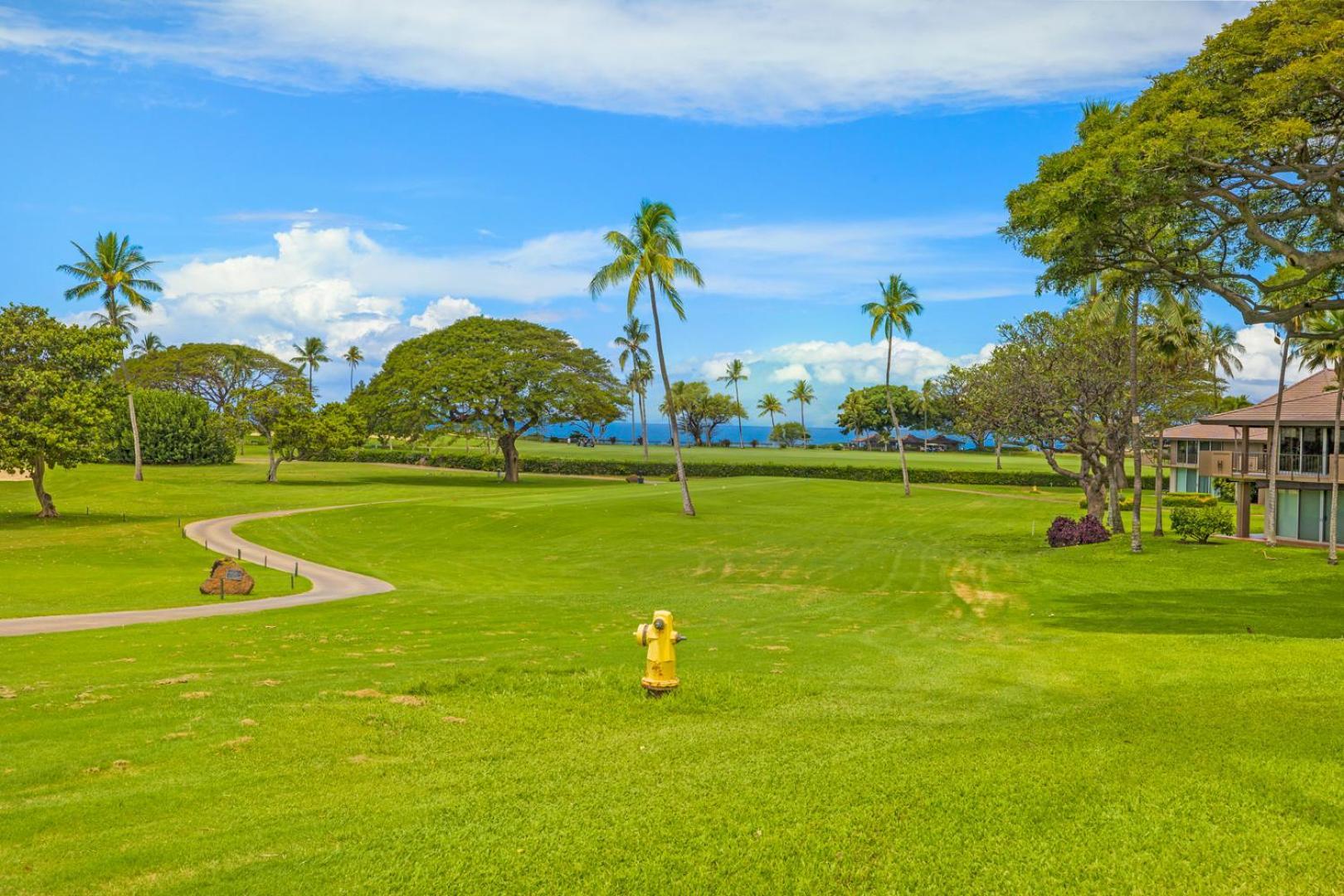 Maui Eldorado - G108 - Stay In The Heart Of Kaanapali カハナ エクステリア 写真