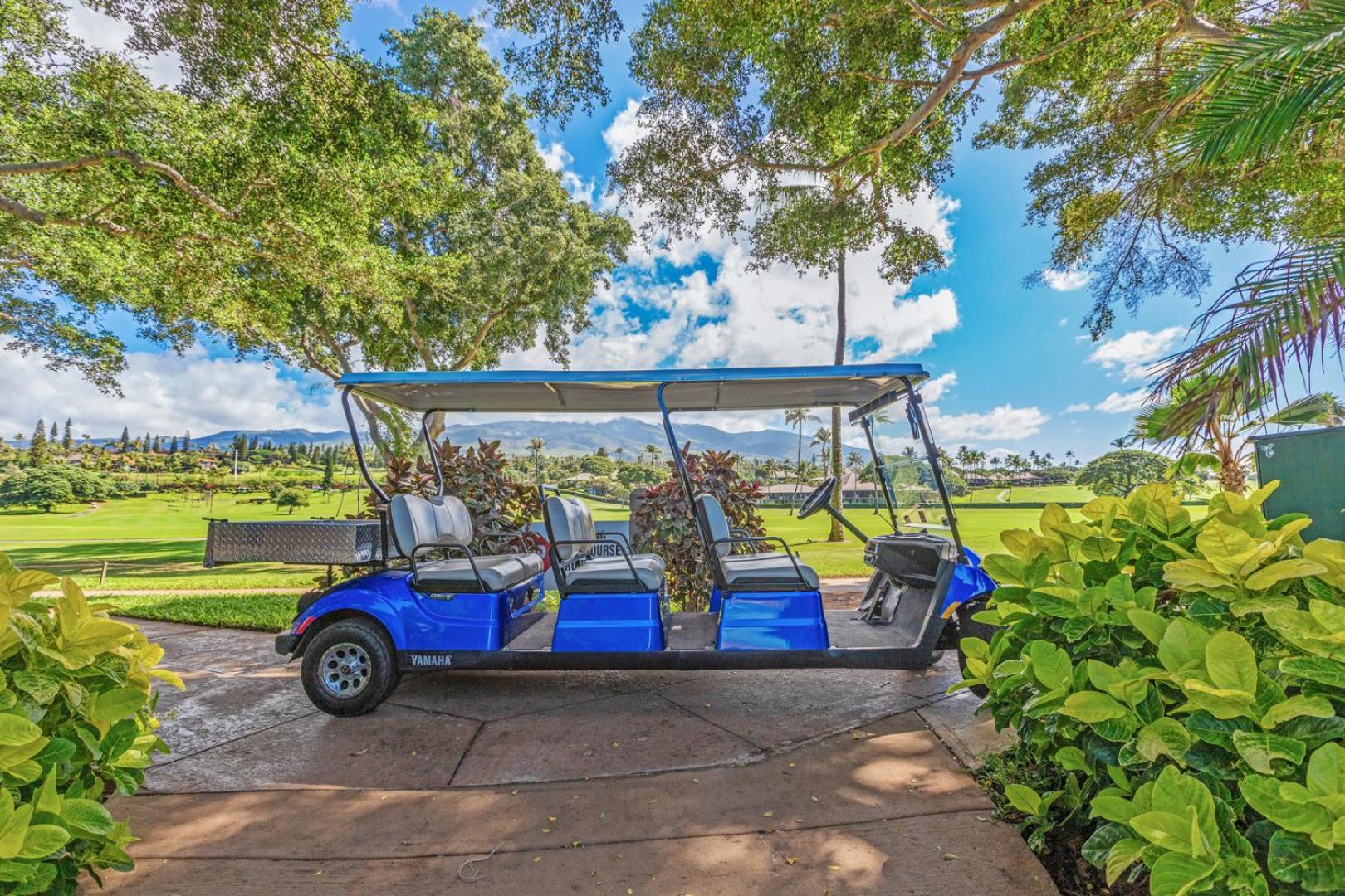 Maui Eldorado - G108 - Stay In The Heart Of Kaanapali カハナ エクステリア 写真